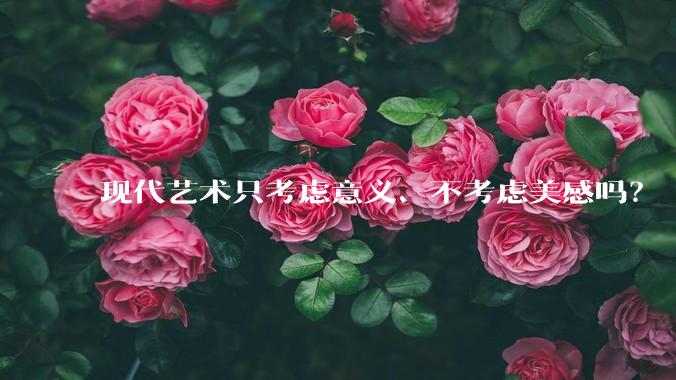 现代艺术只考虑意义、不考虑美感吗？