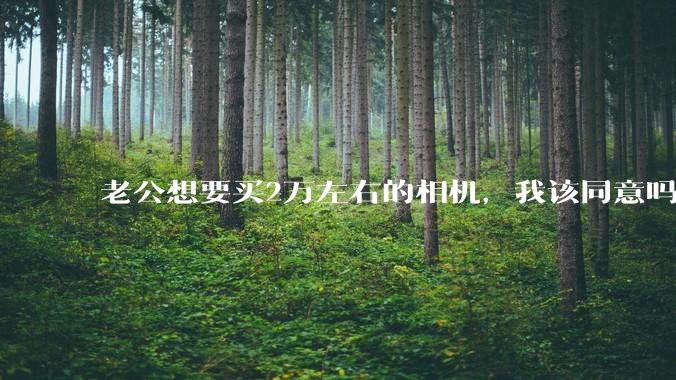老公想要买2万左右的相机，我该同意吗？