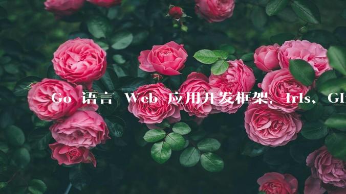 Go 语言 Web 应用开发框架，Iris、Gin、Echo，哪一个更适合大型项目？
