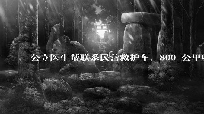 公立医生帮联系民营救护车，800 公里收费 2.8 万元，收费合理吗？救护车收费标准是什么？