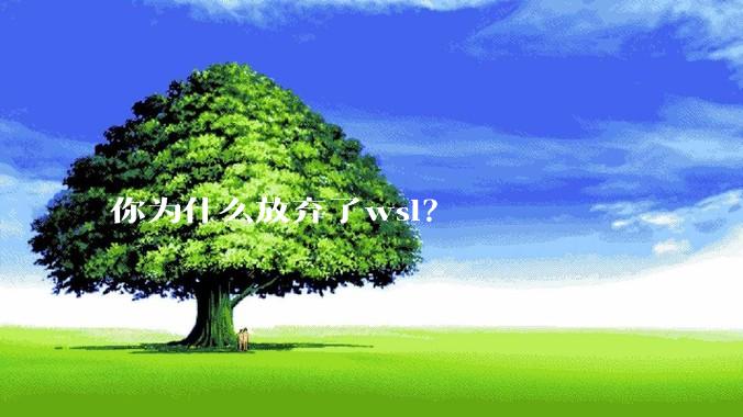 你为什么放弃了wsl？
